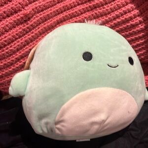 A turtle teal and brown, very soft